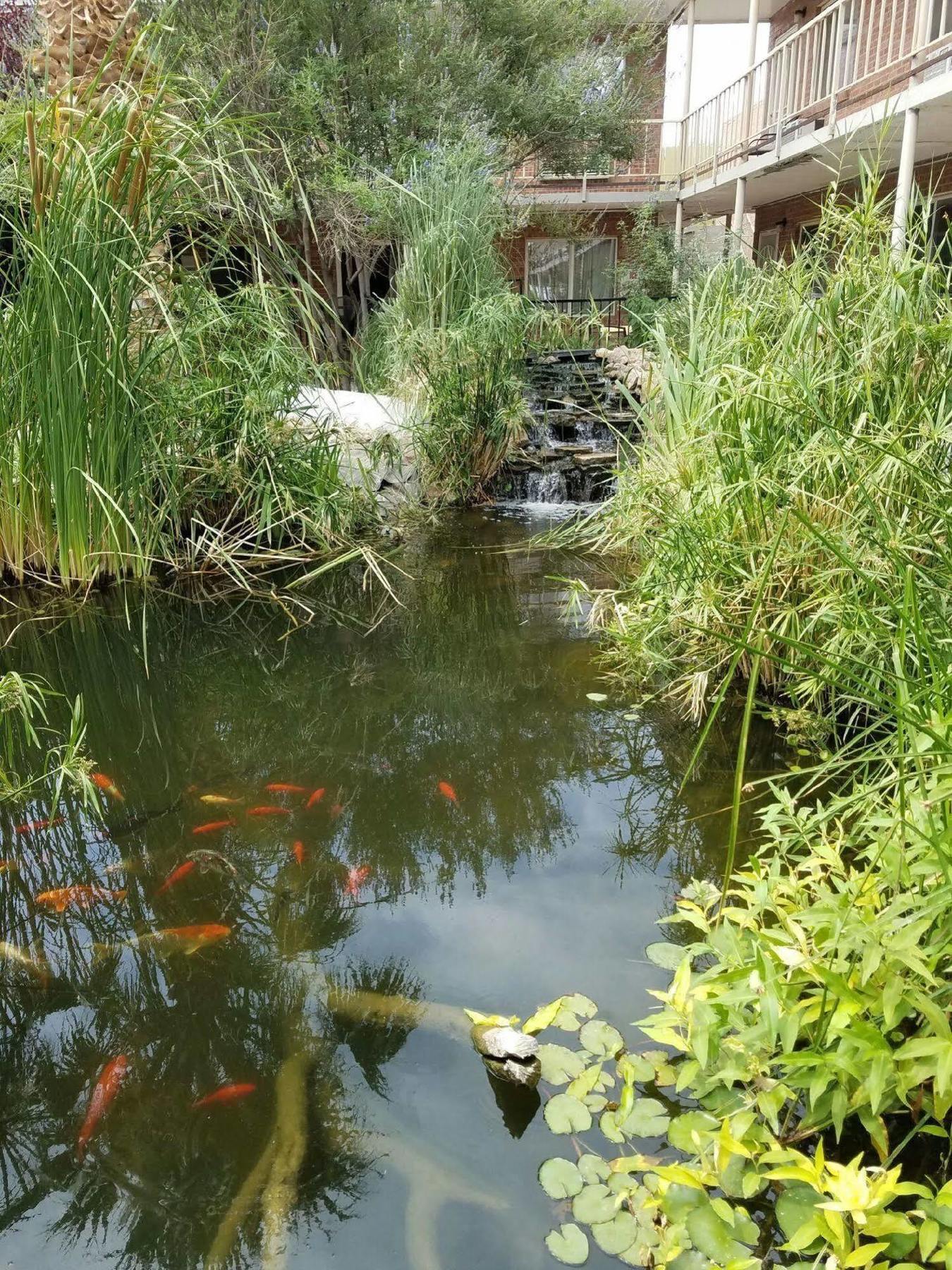 Big Chile Inn & Suites Las Cruces Luaran gambar